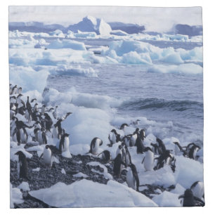 Adelie Penguins Pygoscelis adeliae Napkin