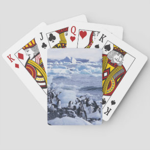 Adelie Penguins Pygoscelis adeliae Poker Cards