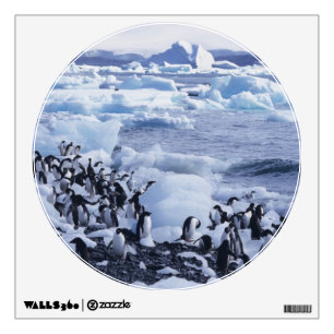 Adelie Penguins Pygoscelis adeliae Wall Decal