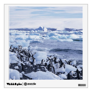 Adelie Penguins Pygoscelis adeliae Wall Sticker