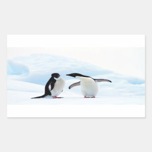 Adelie Penguins Rectangular Sticker