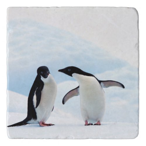 Adelie Penguins Trivet