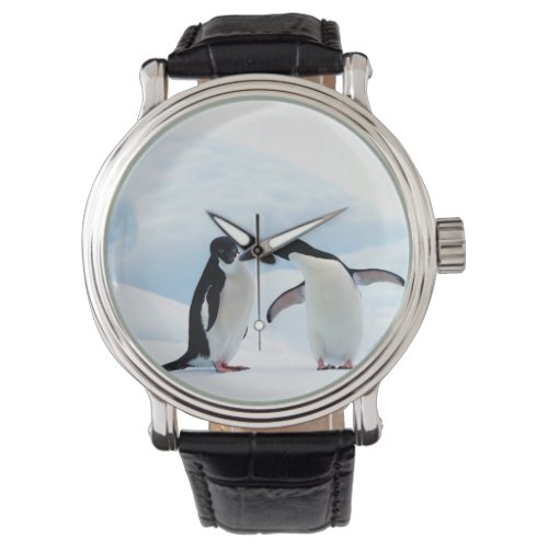 Adelie Penguins Watch