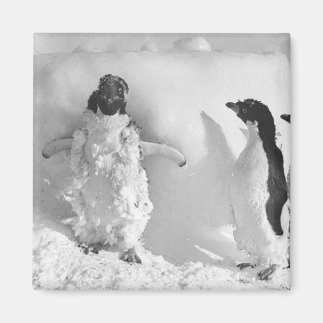 Adeliemanchot Magnet (Front)