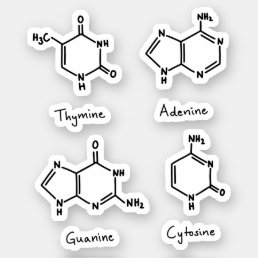 Adenine, guanine, cytosine, thymine molecules sticker