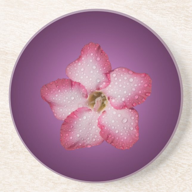 Adenium Pink Flower Flora Gradient Violet Drink Coaster (Front)