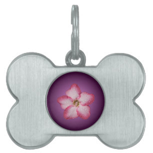 Adenium Pink Flower Flora Gradient Violet Pet Name Tag