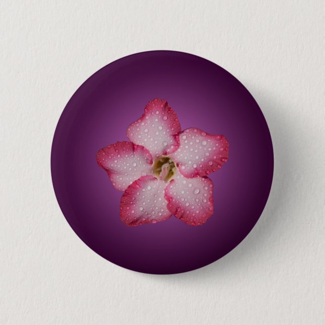 Adenium Pink Flower Flora Gradient Violet Pinback Button (Front)
