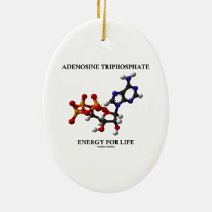 Adenosine Triphosphate (ATP) Energy For Life Ceramic Ornament