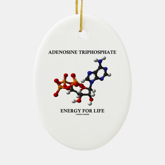 Adenosine Triphosphate (ATP) Energy For Life Ceramic Ornament (Back)