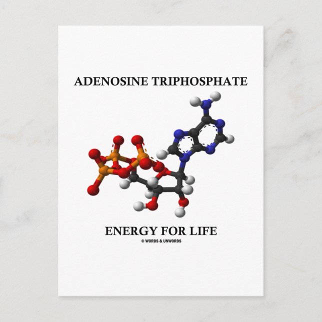 Adenosine Triphosphate (ATP) Energy For Life Postcard (Front)