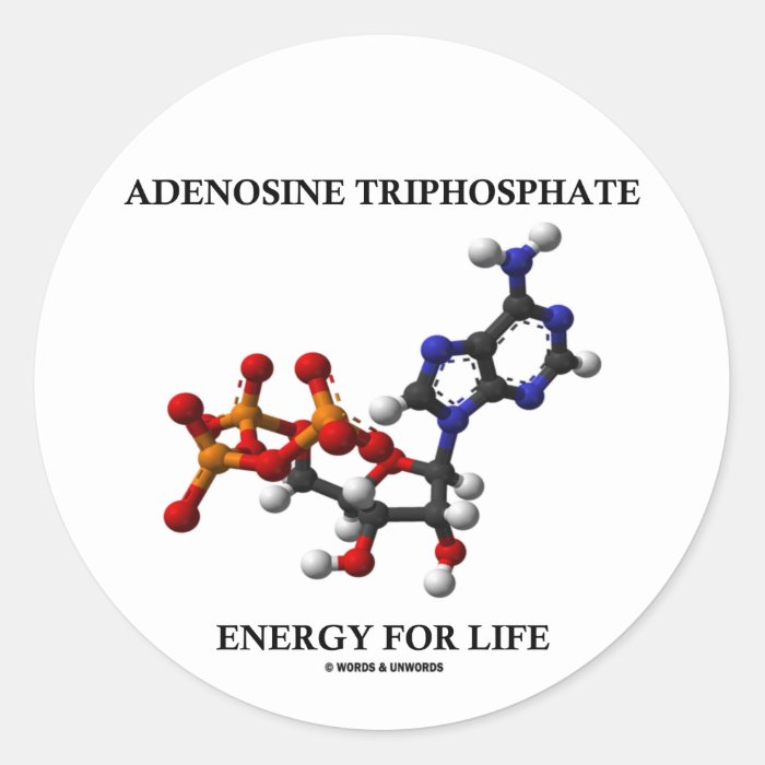 Adenosine Triphosphate (ATP) Energy For Life Stickers