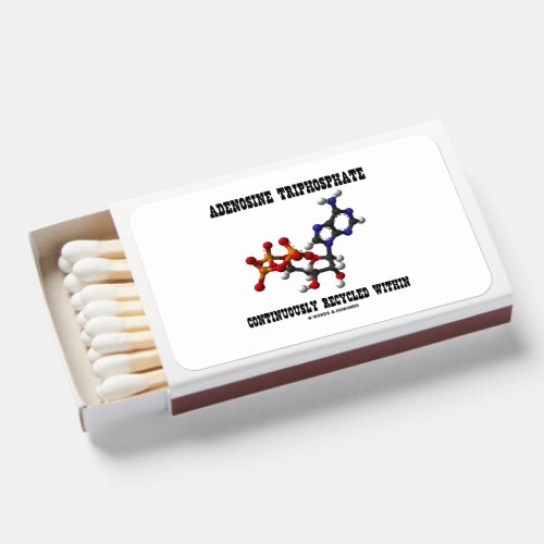 Adenosine Triphosphate Continuously Recycled ATP Matchboxes