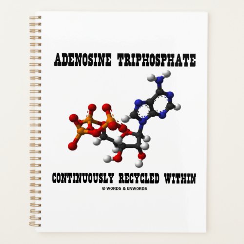 Adenosine Triphosphate Continuously Recycled ATP Planner