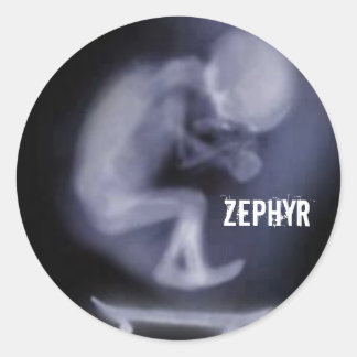 adhesive Zephyr Skate Classic Round Sticker