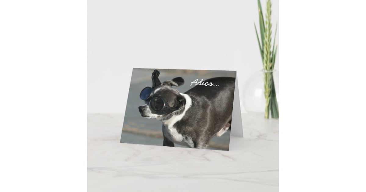 Adios Good Bye chihuahua greeting card | Zazzle