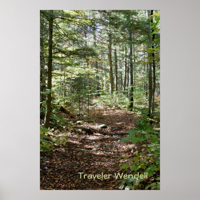 Adirondack Path Poster