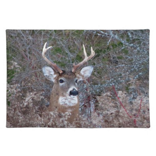 Adirondacks NY Buck Cloth Placemat