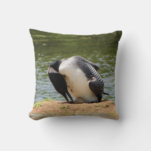 Adirondacks NY Loon With Egg Photo Throw Pillow