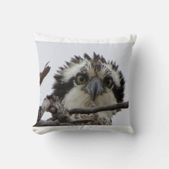 Adirondacks (NY) Osprey Photo Throw Pillow (Front)