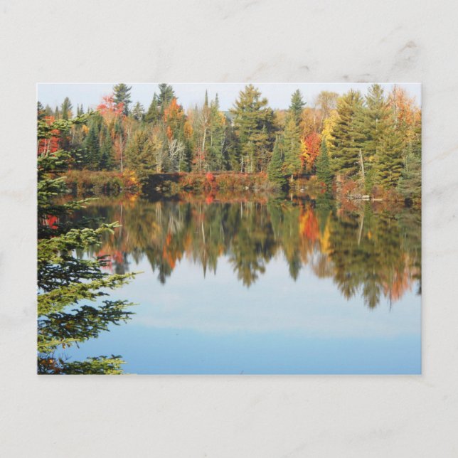 Adirondacks Upper Chub River Autumn Scene Postcard (Front)