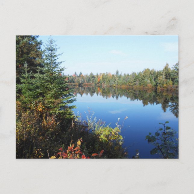 Adirondacks Upper Chub River Autumn Scene Postcard (Front)