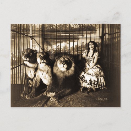 Adjie and the Lions 1899 Vintage Circus Postcard