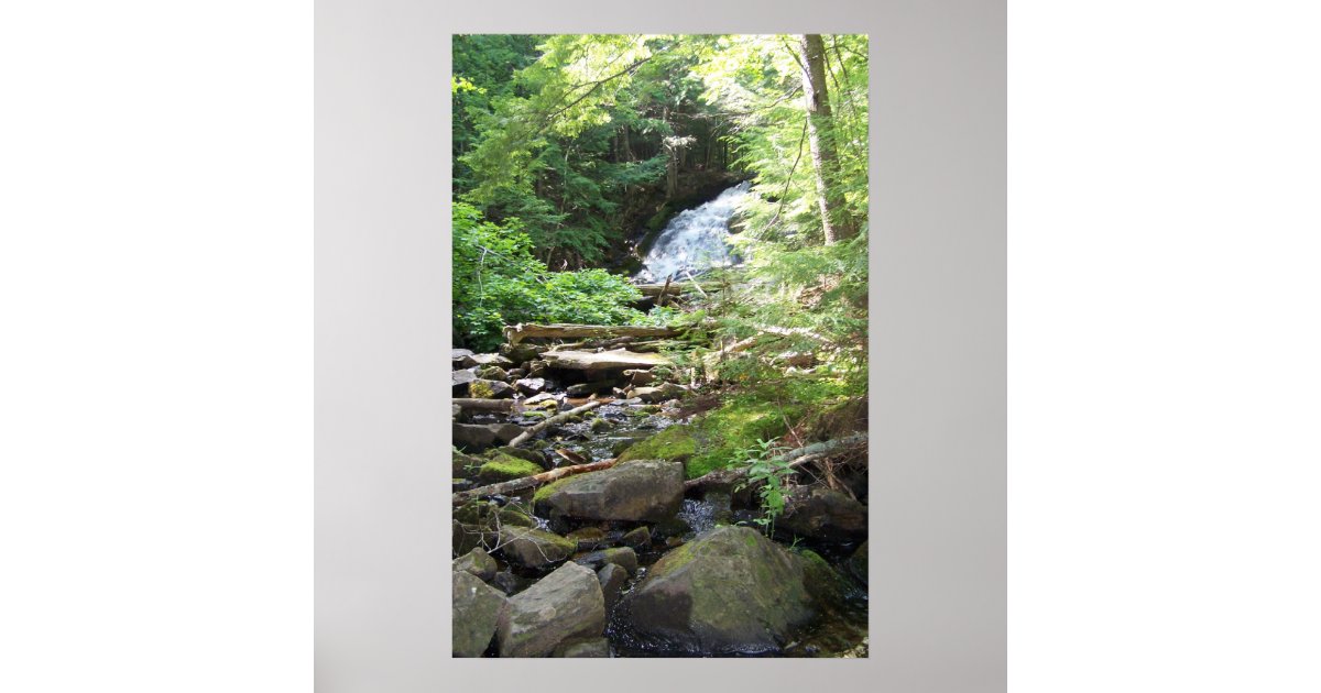 Adler Falls Poster | Zazzle