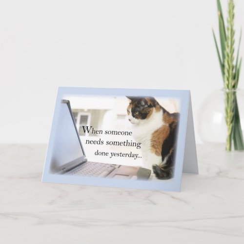 Admin Pro Cat Computer Humor Card