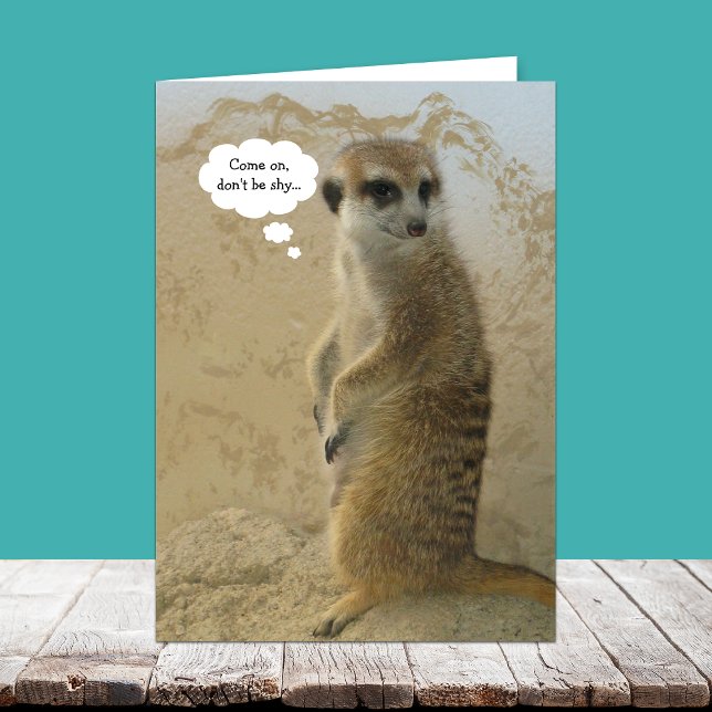 Administrative Professionals Day Card -- Funny (Creator Uploaded)