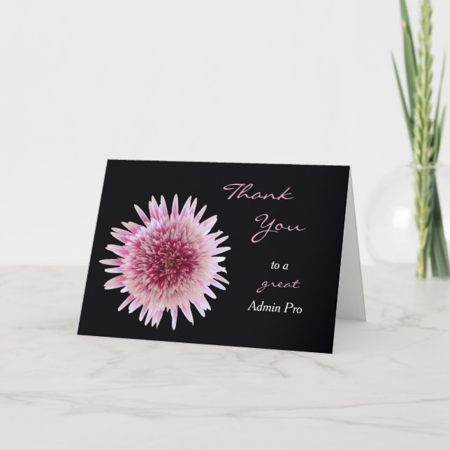 Administrative Professionals Day Card Gerber Daisy (Front)