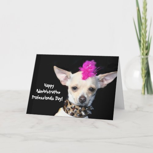 Administrative Professionals Day chihuahua card