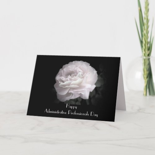 Administrative Professionals Day Pale Pink Rose Thank You Card