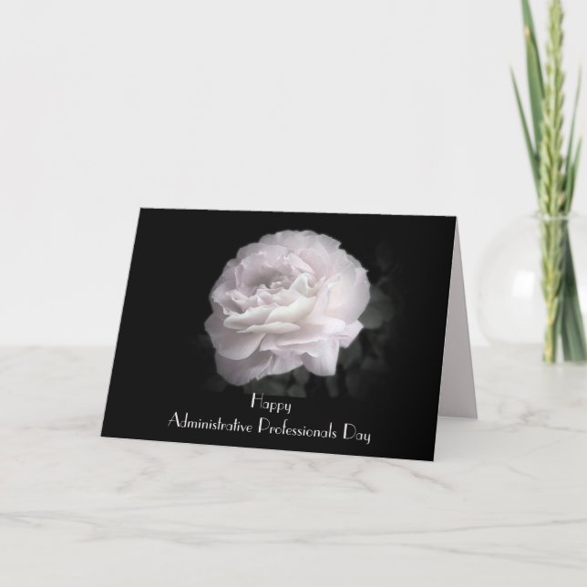 Administrative Professionals Day Pale Pink Rose Thank You Card (Front)