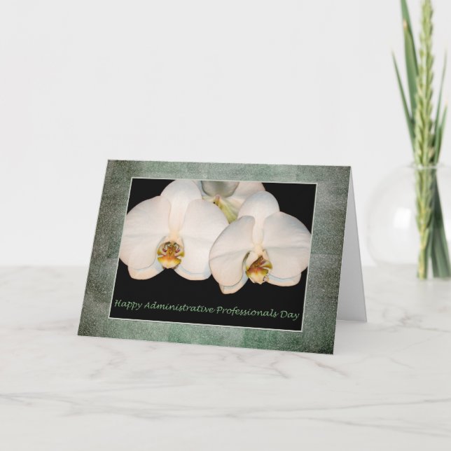 Administrative Professionals Day White Orchid Card (Front)