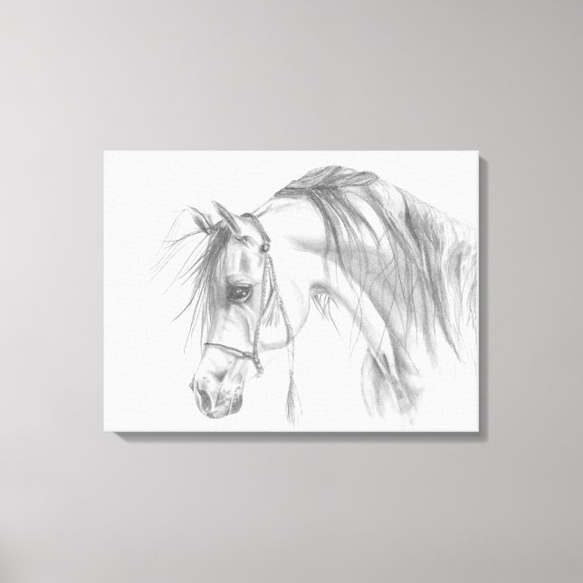 Admirable Arabian Canvas Print (Front)