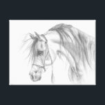 Admirable Arabian Canvas Print<br><div class="desc">Gorgeous pencil drawing of a gorgeous beast paired perfectly with a large canvas.</div>