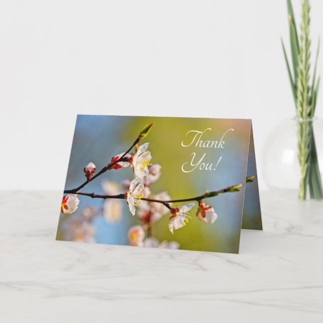 Admirable Japanese Apricot Flower Thank You Card (Front)