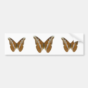 Admiral Butterfly Bumper Sticker