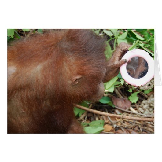 Admiration Hello Gorgeous Self (Front Horizontal)