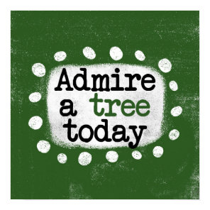 Admire A Tree Today Poster Wall Art