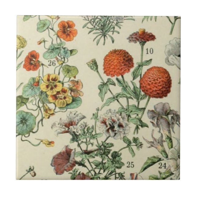 Adolph Millot Botanical Floral Detail 3 Ceramic Tile (Front)