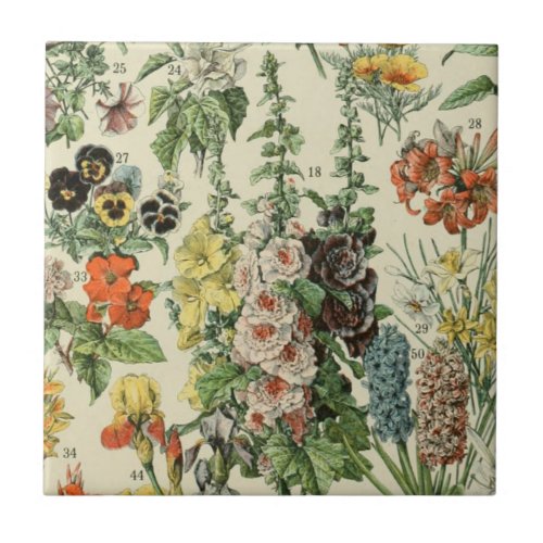 Adolph Millot Botanical Illustration Ceramic Tile