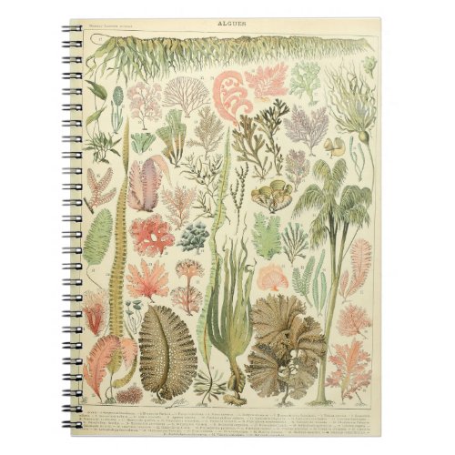 Adolphe Millot Algues Pattern Notebook