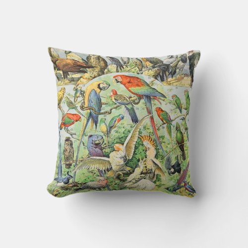 Adolphe Millot birds A Throw Pillow