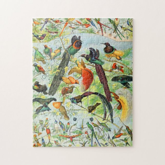 Adolphe Millot birds B Jigsaw Puzzle (Vertical)