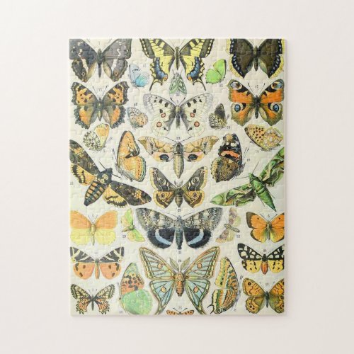Adolphe Millot butterflies A Jigsaw Puzzle