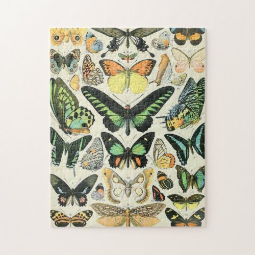 Adolphe Millot butterflies B Jigsaw Puzzle