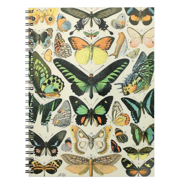 Adolphe Millot butterflies B Notebook (Front)