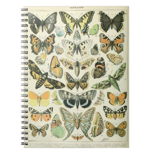 Adolphe Millot Butterflies Pattern_A Notebook